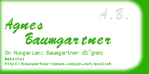 agnes baumgartner business card